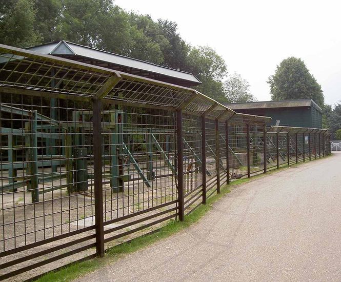 Bespoke elephant cage and fencing for wild animal park