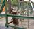 Bespoke elephant cage and fencing for wild animal park 3