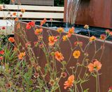 Rustic Water Feature and Planters for Rachel Bailey Garden Design - on this page