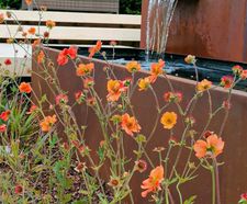 Rustic Water Feature and Planters for Rachel Bailey Garden Design