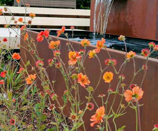 Rustic Water Feature and Planters for Rachel Bailey Garden Design