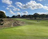 Grass seed provides consistency for golf club fairways and greens - on this page