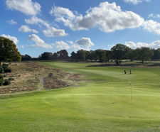 Grass seed provides consistency for golf club fairways and greens