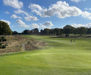 Grass seed provides consistency for golf club fairways and greens