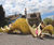 climbslide 8.0 playsculpture® by moveart 0