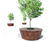 Alcorque Round Bench and Planter By LAB23 0