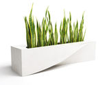 S planter by LAB23