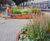 Solid Mobile Green Isles Oval 1
