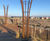 High Grass Pillars 1