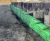 Rootlok vegetated retaining wall system greens existing sheet pile wall 1