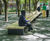 Brooklyn Commons MetroTech revitalised into a thriving urban hub 4