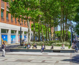 Brooklyn Commons MetroTech revitalised into a thriving urban hub - on this page
