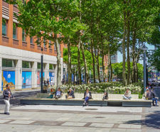 Brooklyn Commons MetroTech revitalised into a thriving urban hub