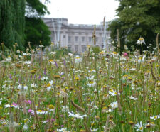 Harrowden and seed traceability