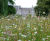 Harrowden and seed traceability 0