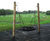 Junior Basket Swing (CP-JBS) 2