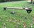 4 Person Seesaw - timber outdoor playground equipment for children 1