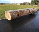 Natural Log Bench (CP-NLB)