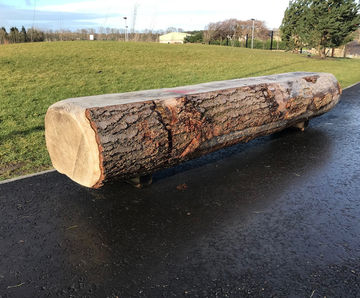 Natural Log Bench (CP-NLB)