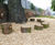 Rustic Log Stump Seats (CP-RLS) 0