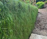 Topsoil filled MSE bagwork for reinforced soil walls - on this page