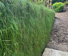 Topsoil filled MSE bagwork for reinforced soil walls
