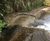 Concrete filled bagwork for erosion control and scour protection 1