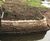 Concrete filled bagwork for erosion control and scour protection 2