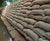 Concrete filled bagwork for retaining walls 4