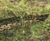 SoluForm's bagwork solution repairs significant riverbank erosion 3