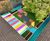Timber pergola with coloured polycarbonate roof 4