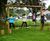 Timber Trim Trails 6