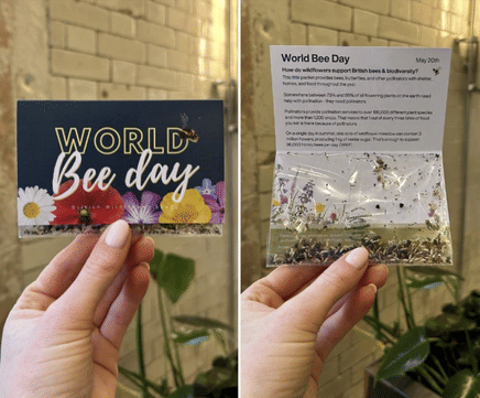 Custom-Designed Wildflower Seed Packets