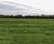 PR2 soil moisture probe used in Cranfield University study 3