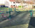 Timber Agility Equipment for Trim Trails 5