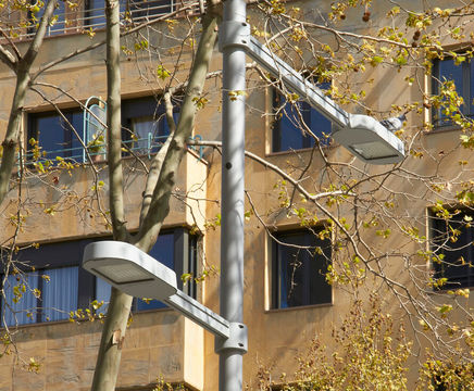 Candela luminaire by Urbidermis