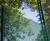 High-security and ball-stop fencing protect sewage treatment site 11