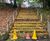 Transforming Play: Creating Sheltered and Engaging Outdoor Spaces 6