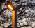 Stelle timber lamp post (93008) 0