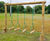 Sports & Social Club Unveils Outdoor Revamp to Boost Engagement 5