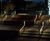 ASF LED illuminated post and rail 9