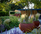 Medea - spherical bowl planter for patios and gardens