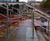 ASF bespoke illuminated handrail - One City Square, Bradford 3