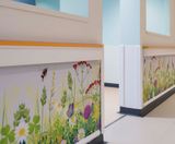Wall protection solutions for Huddersfield Royal Infirmary, UK - on this page