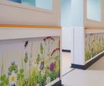 Wall protection solutions for Huddersfield Royal Infirmary, UK