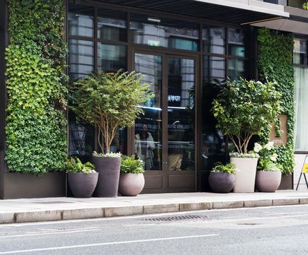 Planters and pots for courtyard and entrance at 1 Hotel Mayfair