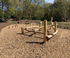Creating a new woodland play area for RHS Bridgewater