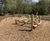 Creating a new woodland play area for RHS Bridgewater 0