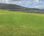PM 90 Coastal grass seed mix