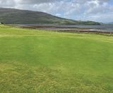 PM 90 Coastal grass seed mix - on this page